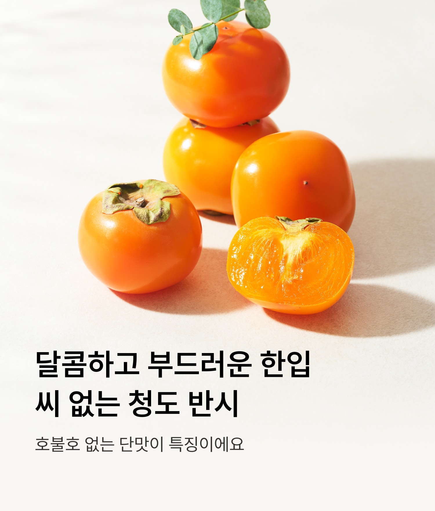 청도 반시