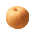 배