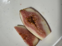 이미지없음