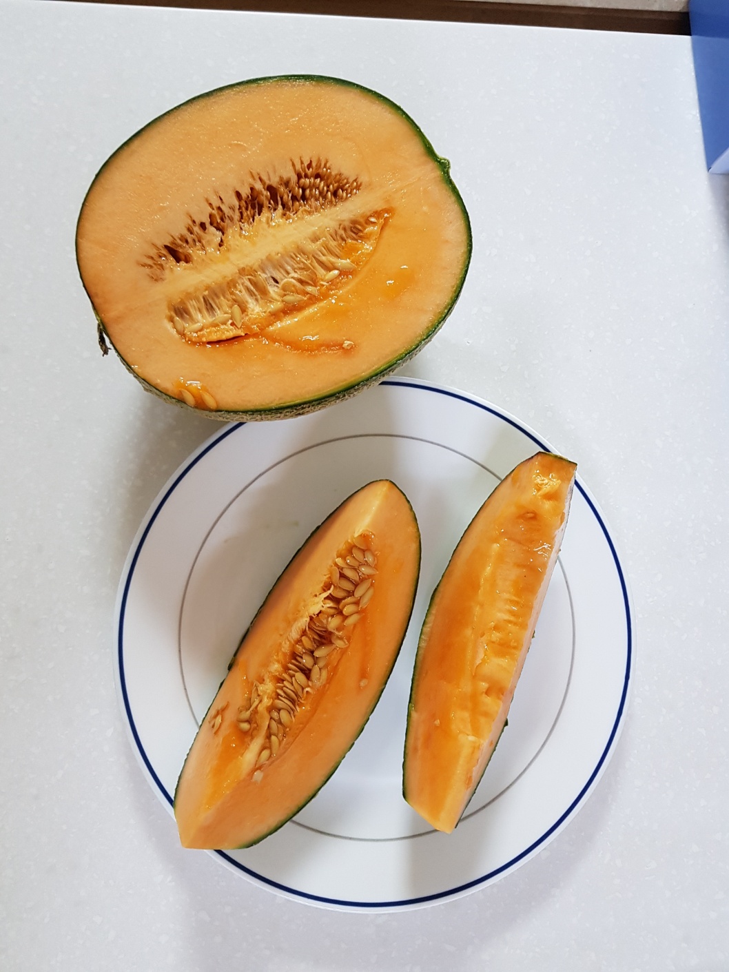이미지없음