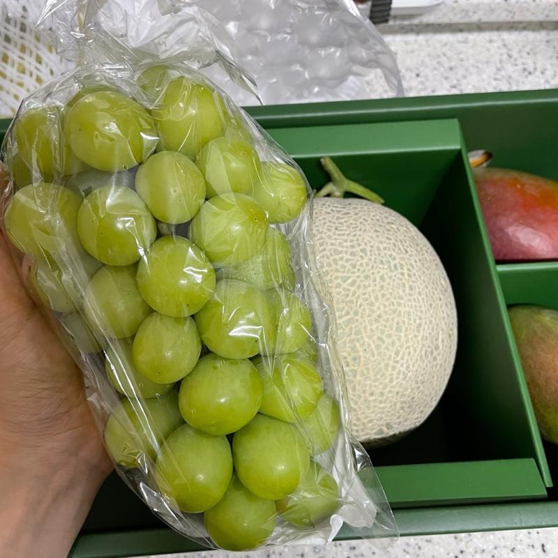 이미지없음