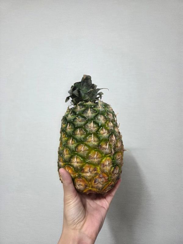 이미지없음